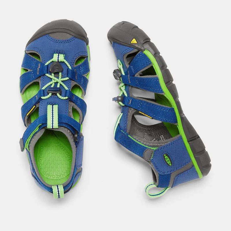 Keen Seacamp II Cnx Sandals Canada - Keen Kids Sandals Blue/Green (KFRY68375)